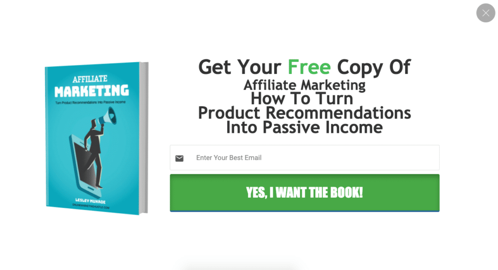 Optin Form Sales Funnels- Online Marketing Hustle